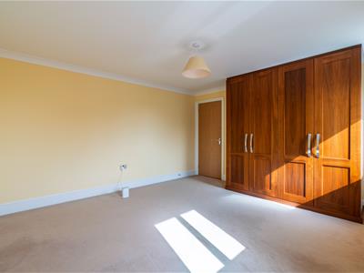Picture 41
